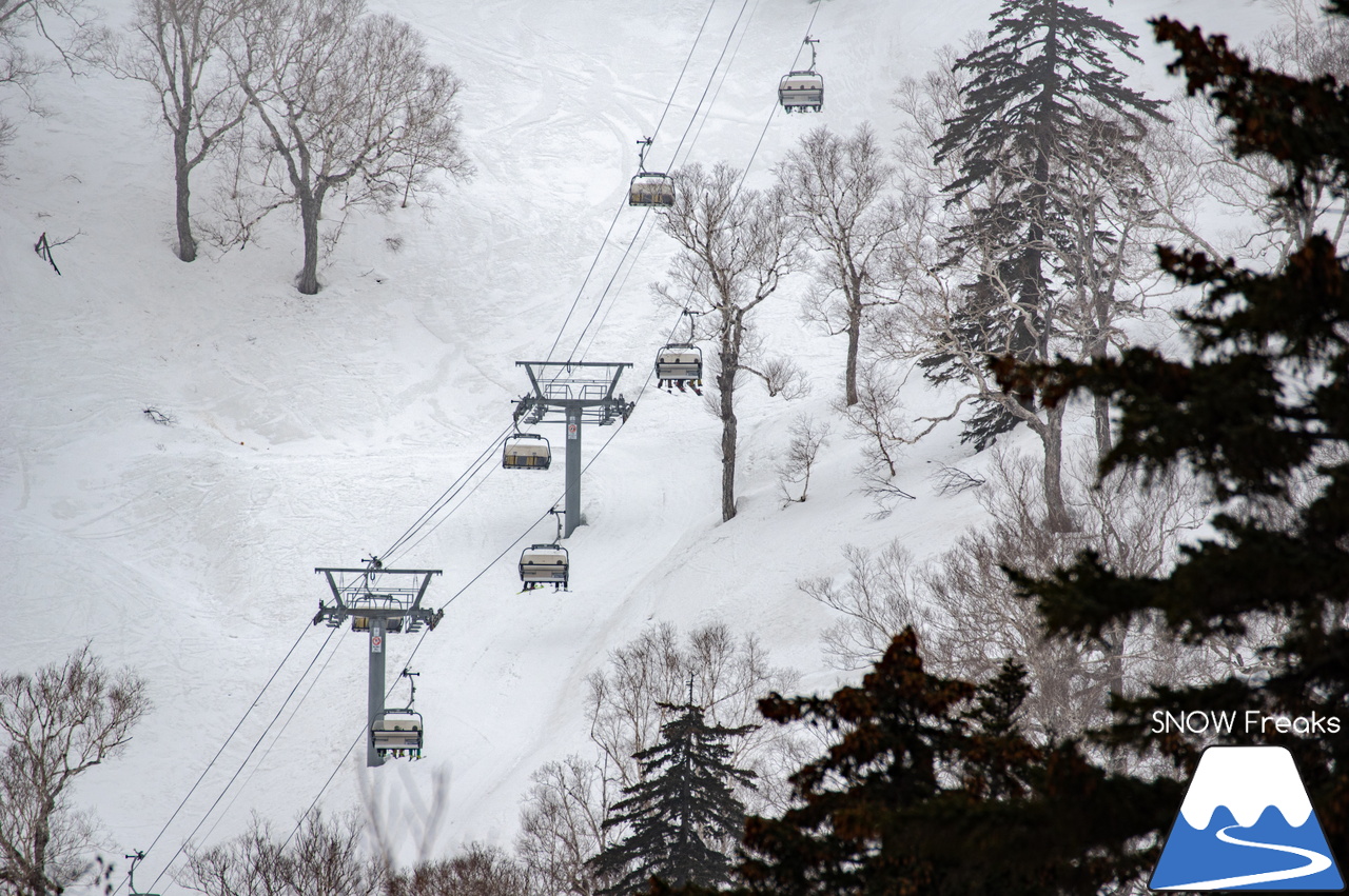 札幌国際スキー場｜山頂の積雪は、300cm！連日の春スキー＆スノーボード日和から一転、今日は冬が帰ってきました♪